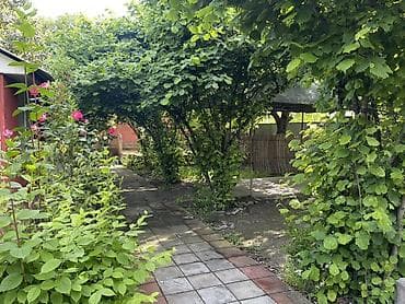 sabuncuda kirayə evlər 2025: Salam hazır biznes kafe satılır. Aylıq icarə haqqı 170 manatdır — 4
