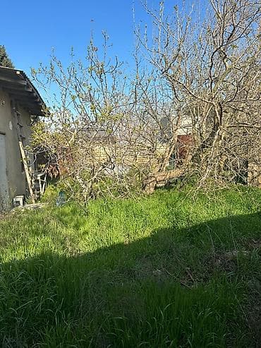 3 sot, Tikinti, Makler, Kupça (Çıxarış) — 8