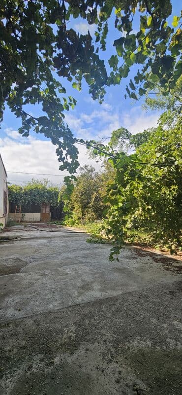 аренда продажа земельных участков: 48 sot, Kənd təsərrüfatı, Kupça (Çıxarış) — 20