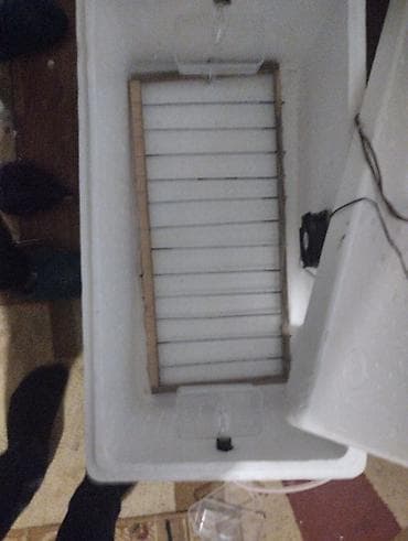 İnkubatorlar: Ev şəraitində quş və ya sürünən yumurtalarının çıxarılması üçün — 2