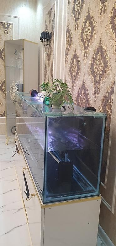 heyvanlar: 450 litr həcmli böyük akvarium satılır. (2000₼ pul qoyulub) premium — 6