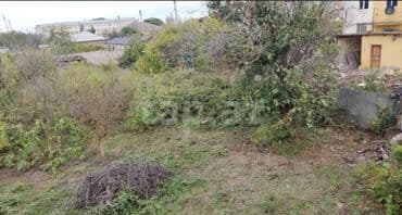 kiraye evlər: Tikinti, Mülkiyyətçi — 3