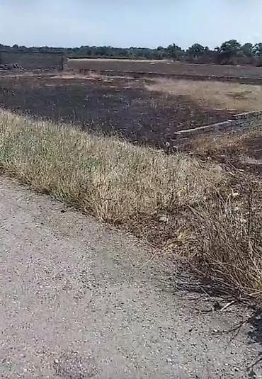 lenkeran ev alqi satqisi: 12 sot, Tikinti, Kupça (Çıxarış) — 1