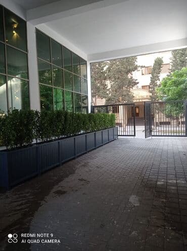 dibçek gulleri: Dibçək güldanlar. Dipçəklər bir başa sexdən.Sex qiymətinə. ♦️Endrim — 4