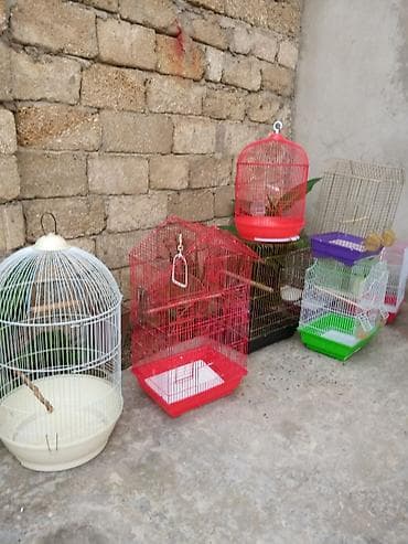 Yuvalar: Qiymetler 15-35 azn arasi — 1