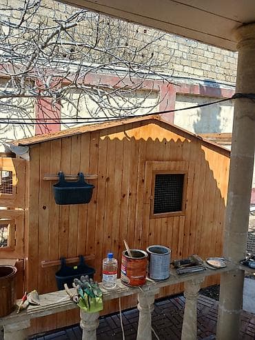 ekran ucun pisik sekilleri: Taxta quşxana / toyuq damı matryal sizden duzeltmey bizden zehmet haki — 1