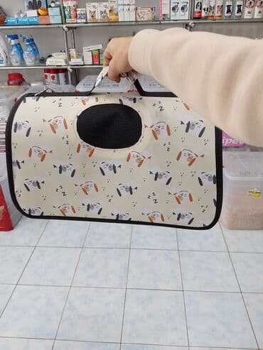 pişik itib: Fars, Erkək, Yaxşı əllərə, Ödənişli çatdırılma — 3