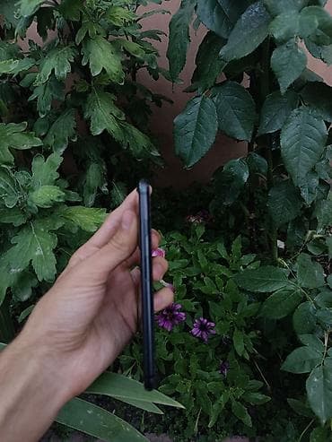 honor x6b 128gb: IPhone 7, Qara, Barmaq izi — 3