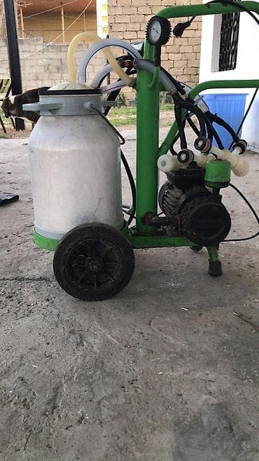 Hazır biznes: Tək bidon — 2