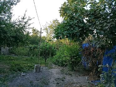 2 otaqlı, 80 kv. m, Təmirsiz — 10