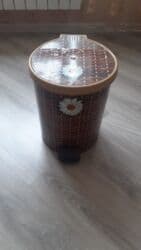 Otaq bitkiləri: Zibil vedresi 10 manat — 1