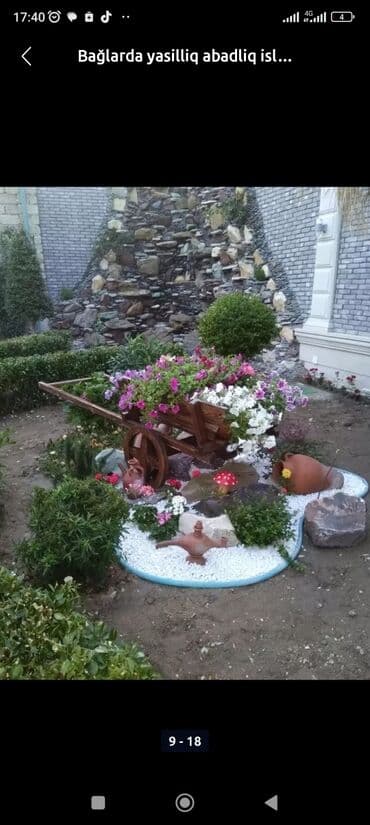 ремонт ipad: Landşaft dizayn agaclarin satişi torf dermanlar gul cicey satsi — 6