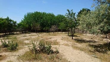 sulutəpə çiçək qəsəbəsi: 12 sot, Tikinti, Makler, Kupça (Çıxarış) — 6