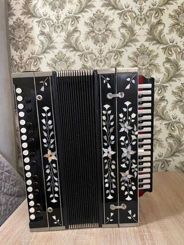 7 ci sinif riyaziyyat test toplusu pdf: Akustik Akkordeon — 2