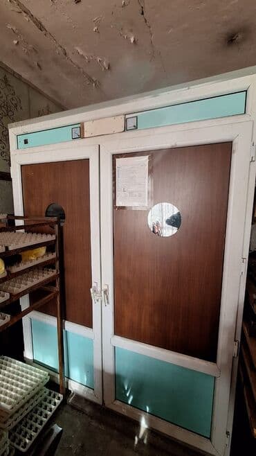 Bütün növ quşlaq üçün