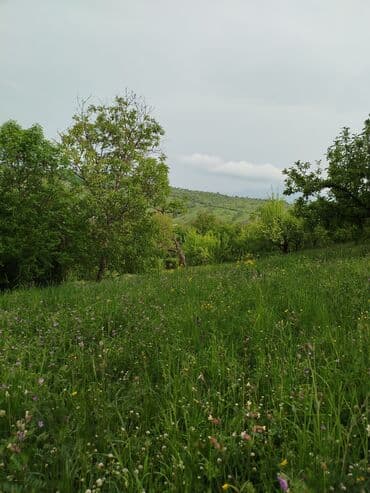 3 комнатная квартира: 24 sot, Tikinti, Mülkiyyətçi, Kupça (Çıxarış) — 15