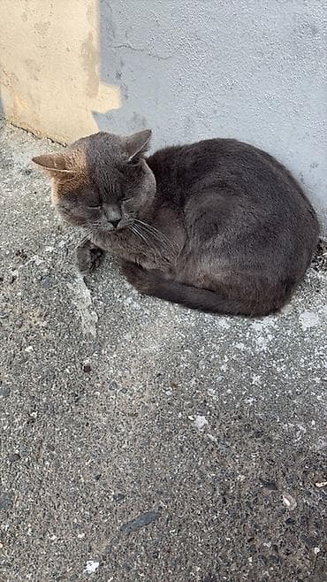 Yaxşı əllərə