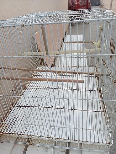 hamster urrekara: Quş qəfəsi,hamster qefesi, dovşan qəfəsi ve s - Material: metal torlu — 3