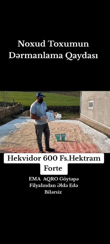 çiya toxumu ile ariqlamaq: Məhsul: Noxud toxumu (toxumluq) Təsvir:Toxumluq Ağ iri Dənəli — 3