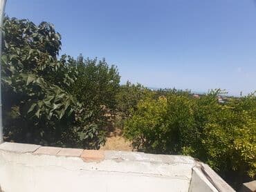 tap az bag evleri pirsagida: Bakı, Görədil, 65 kv. m, 1 otaqlı, Hovuzsuz, Qaz, Su, Kanalizasiya — 16