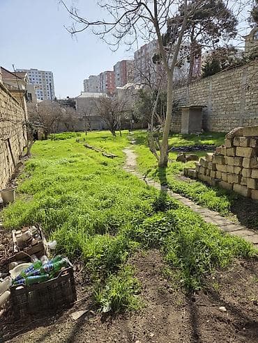saganda torpaq: 10 sot, Tikinti, Makler, Kupça (Çıxarış) — 8