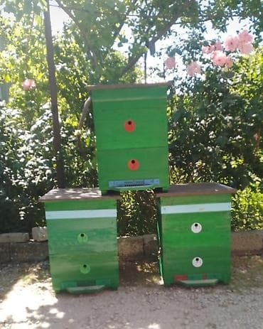 Ari yeşikleri yenidir istifade olunmayi Məhsulun təsviri: - Arıçılıq