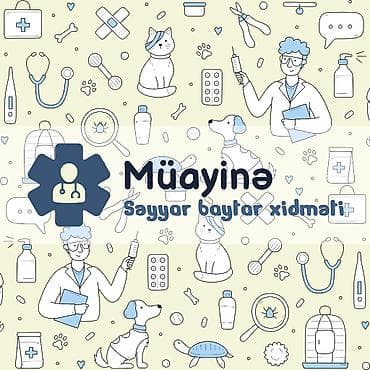 baytar it hekimi: Səyyar Baytar Xidməti • Вызов ветеринара на дом 👨🏻‍⚕️ Peşəkar və — 2
