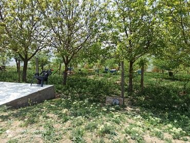 evlər: 4 otaqlı, 50 kv. m, Kredit yoxdur, Yeni təmirli — 13