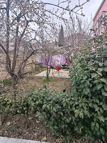 Həyətyanı sahəsi olan yaşayış evi həyəti və köməkçi tikililərlə - — 2