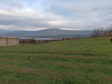 10 sot, Tikinti, Maklerlər narahat etməsin, Kupça (Çıxarış)