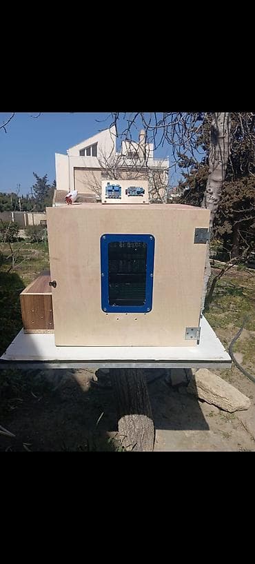 mini incubator: Yumurta inkubatoru 180 yumurtaliq – avtomatik idarəetməli. Sadəcə — 5
