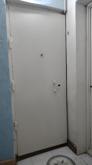 dəmir qab: Metall qapı – giriş/mətbəx üçün - Material: metal korpus, iki tərəfli — 3