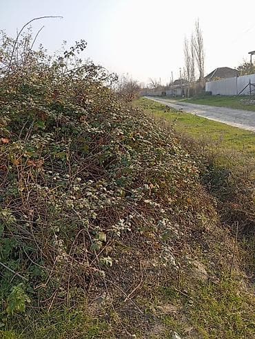 torpaqlarin satisi: 12 sot, Tikinti, Barter mümkündür, Kupça (Çıxarış) — 4