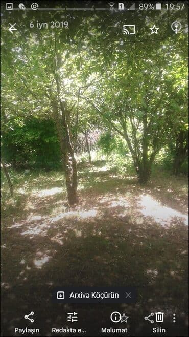 sahə: 40 sot, Kənd təsərrüfatı, Mülkiyyətçi, Bələdiyyə — 1