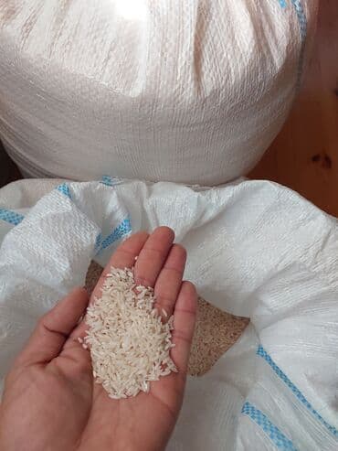 Astara duyusu hawimi 5 azn qoxulu ve uzun duyu.Apolu uzun duyu 3.5 ve