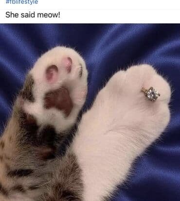 преступление и наказание: Türk dilinde yeni kitab — 2