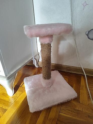 ev itleri balaca: Heyvanlar üçün digər mallar — 2