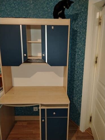 İşlənmiş, Açılan, Düz dolab, Qarderob, paltar dolabı