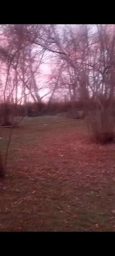 mingecevir satiliq evler: 1 sot, Kənd təsərrüfatı — 1