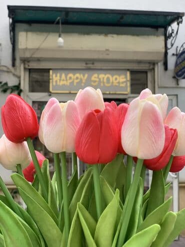 Tülpan Gülləri Evinzi və İş yerinizi Təbii güllərdən seçilməyən lalafo.az -da Tülpan Gülləri Evinzi və İş yerinizi Təbii güllərdən seçilməyən