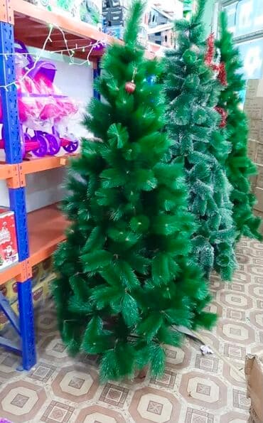 süni tökmə küknar ağacları: Yolka — 1