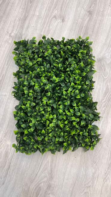 Tavan: 10 azn baslayan qiymetler Suni qazonlarin topdan satisi Suni qazon lalafo.az -da — 3 Tavan: 10 azn baslayan qiymetler Suni qazonlarin topdan satisi Suni qazon — 3