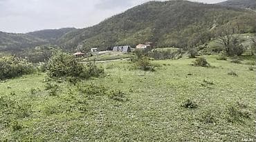8 sot, Tikinti, Kupça (Çıxarış)