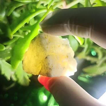 green witch saat: Kolleksiyamdakı Təbii Daşların Satışı | Mineral • Kristal • Dekorativ — 2