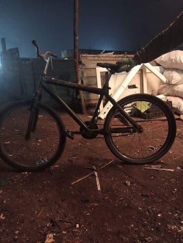 velsavetler: Şəhər və gündəlik istifadə üçün sadə velosiped. Xüsusiyyətlər: - — 1