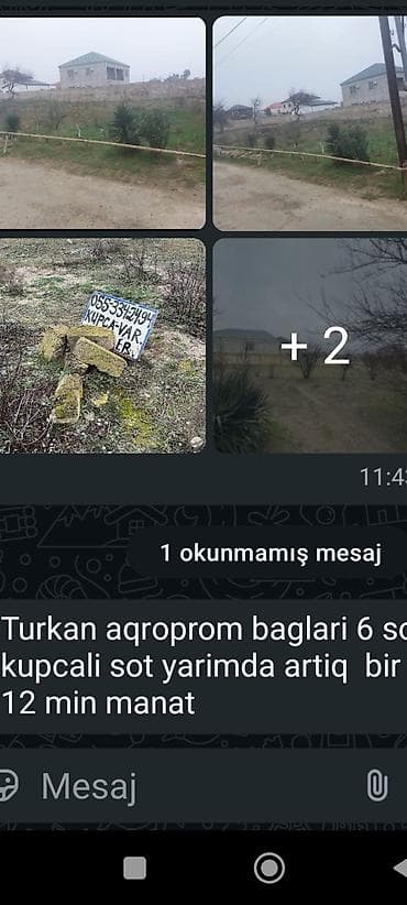 torpa: Tikinti, Kupça (Çıxarış) — 6