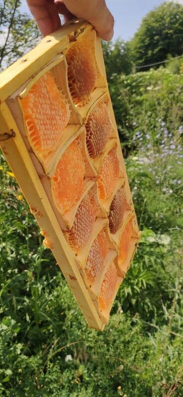 продается мед: ELF BEE'S 1977 ECO-PRODUCT FOR HEALTH AND LONGEVITY Tovuzun — 19