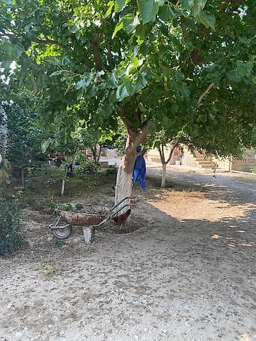 lokbatanda obyekt satilir: 7 sot, Tikinti, Kupça (Çıxarış) — 4
