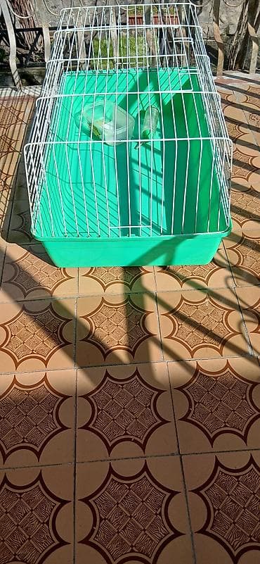 Heyvanlar üçün mallar: Geniş heyvan qəfəsi, hun - 40 sm, eni - 48 sm, uzu - 85 sm — 5