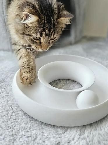 pişik oyuncaqları: 🐾 Pişiklər üçün İnteraktiv Oyuncaq Pişiyinizin həm əylənməsi, həm də — 1